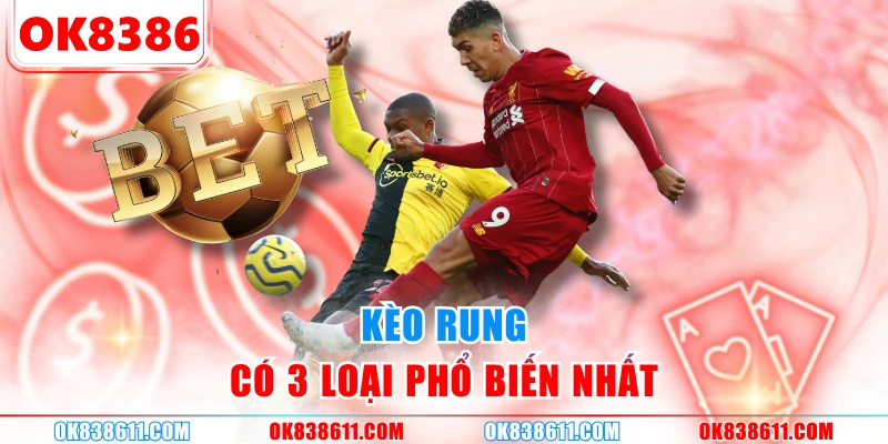 Kèo rung có 3 loại phổ biến nhất